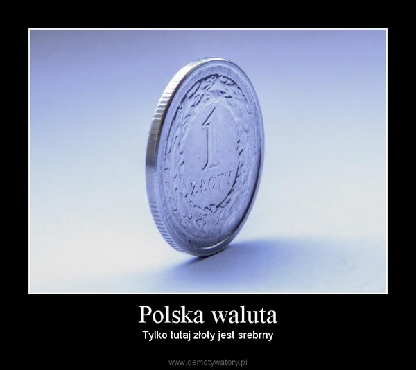 Polska waluta – Tylko tutaj złoty jest srebrny 