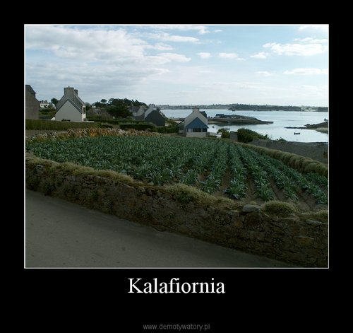 Kalafiornia