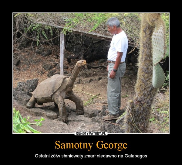 Samotny George – Ostatni żółw słoniowaty zmarł niedawno na Galapagos 
