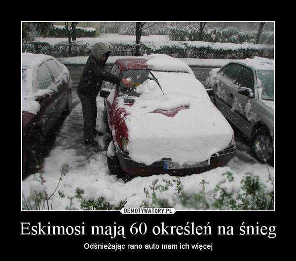 Eskimosi mają 60 określeń na śnieg – Odśnieżając rano auto mam ich więcej 
