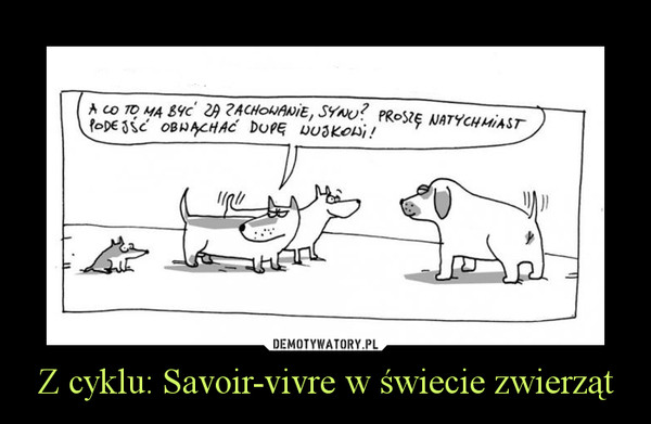 Z cyklu: Savoir-vivre w świecie zwierząt –  