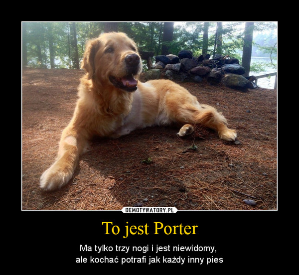 To jest Porter