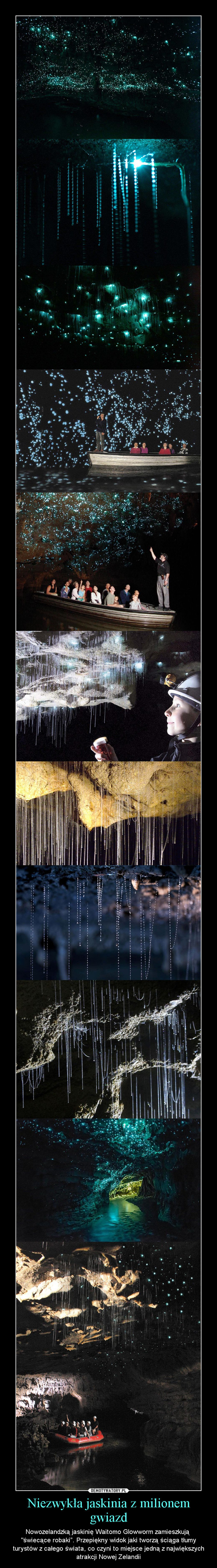 Niezwykła jaskinia z milionem gwiazd – Nowozelandzką jaskinię Waitomo Glowworm zamieszkują "świecące robaki”. Przepiękny widok jaki tworzą ściąga tłumy turystów z całego świata, co czyni to miejsce jedną z największych atrakcji Nowej Zelandii 
