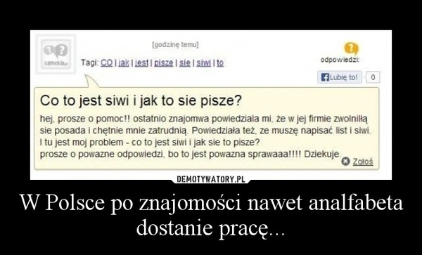 W Polsce po znajomości nawet analfabeta dostanie pracę... –  