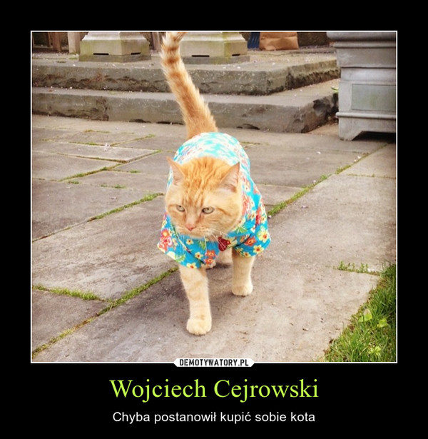 Wojciech Cejrowski – Chyba postanowił kupić sobie kota 