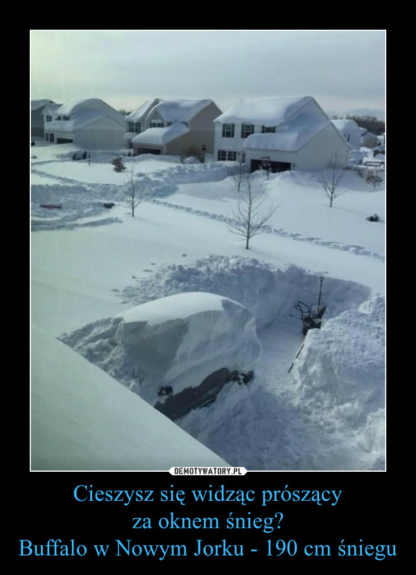 Cieszysz się widząc prószący
za oknem śnieg?
Buffalo w Nowym Jorku - 190 cm śniegu