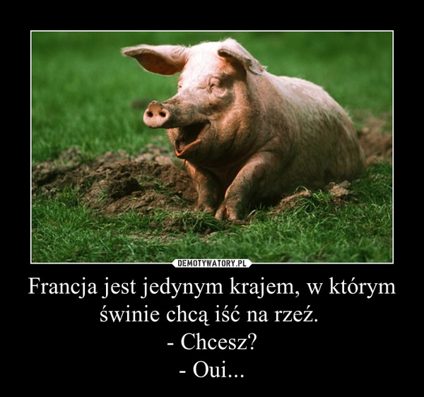 Francja jest jedynym krajem, w którym świnie chcą iść na rzeź. - Chcesz?- Oui... –  