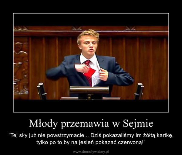 Młody przemawia w Sejmie – "Tej siły już nie powstrzymacie... Dziś pokazaliśmy im żółtą kartkę, tylko po to by na jesień pokazać czerwoną!" 
