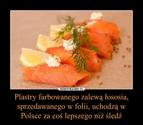 Plastry farbowanego zalewą łososia, sprzedawanego w folii, uchodzą w Polsce za coś lepszego niż śledź –  