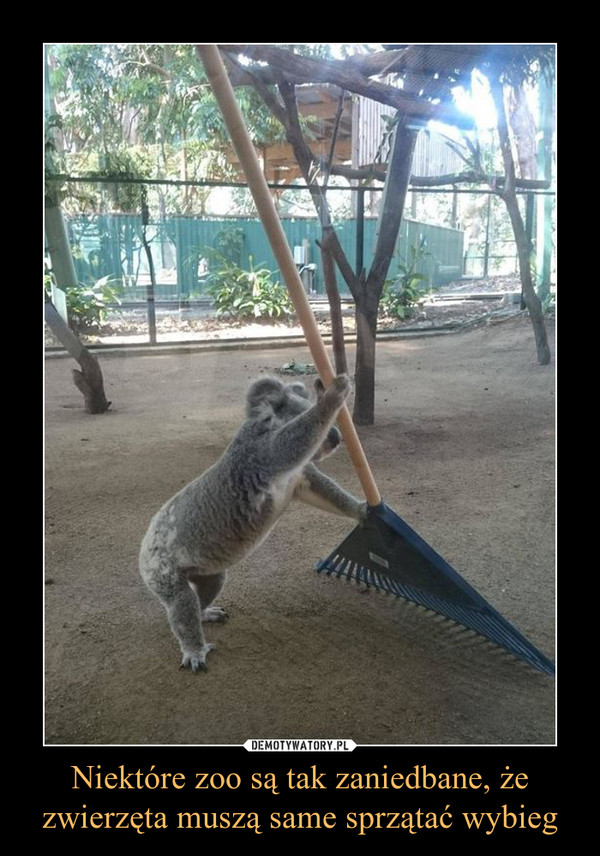 Niektóre zoo są tak zaniedbane, że zwierzęta muszą same sprzątać wybieg –  