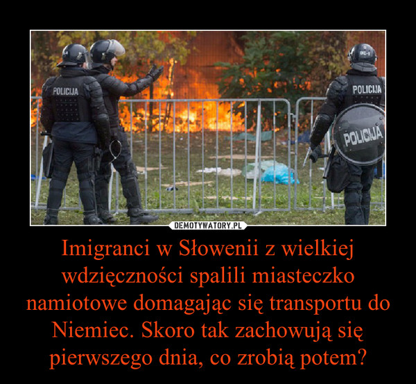 Imigranci w Słowenii z wielkiej wdzięczności spalili miasteczko namiotowe domagając się transportu do Niemiec. Skoro tak zachowują się pierwszego dnia, co zrobią potem?