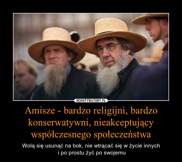 Amisze - bardzo religijni, bardzo konserwatywni, nieakceptujący współczesnego społeczeństwa – Wolą się usunąć na bok, nie wtrącać się w życie innych i po prostu żyć po swojemu 