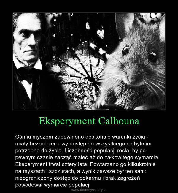 Eksperyment Calhouna – Ośmiu myszom zapewniono doskonałe warunki życia - miały bezproblemowy dostęp do wszystkiego co było im potrzebne do życia. Liczebność populacji rosła, by po pewnym czasie zacząć maleć aż do całkowitego wymarcia. Eksperyment trwał cztery lata. Powtarzano go kilkukrotnie na myszach i szczurach, a wynik zawsze był ten sam: nieograniczony dostęp do pokarmu i brak zagrożeń powodował wymarcie populacji 