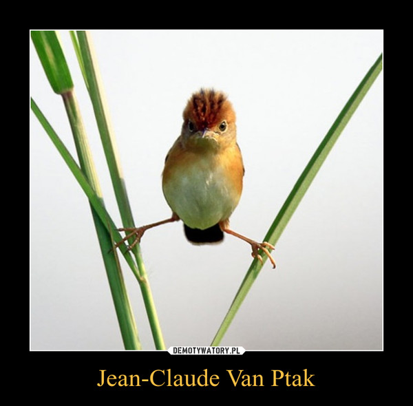 Jean-Claude Van Ptak –  