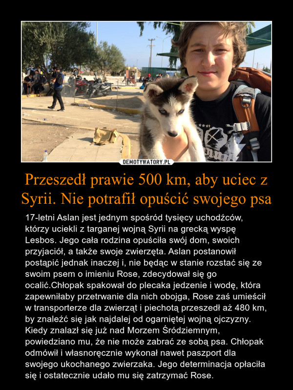 Przeszedł prawie 500 km, aby uciec z Syrii. Nie potrafił opuścić swojego psa – 17-letni Aslan jest jednym spośród tysięcy uchodźców, którzy uciekli z targanej wojną Syrii na grecką wyspę Lesbos. Jego cała rodzina opuściła swój dom, swoich przyjaciół, a także swoje zwierzęta. Aslan postanowił postąpić jednak inaczej i, nie będąc w stanie rozstać się ze swoim psem o imieniu Rose, zdecydował się go ocalić.Chłopak spakował do plecaka jedzenie i wodę, która zapewniłaby przetrwanie dla nich obojga, Rose zaś umieścił w transporterze dla zwierząt i piechotą przeszedł aż 480 km, by znaleźć się jak najdalej od ogarniętej wojną ojczyzny. Kiedy znalazł się już nad Morzem Śródziemnym, powiedziano mu, że nie może zabrać ze sobą psa. Chłopak odmówił i własnoręcznie wykonał nawet paszport dla swojego ukochanego zwierzaka. Jego determinacja opłaciła się i ostatecznie udało mu się zatrzymać Rose. 