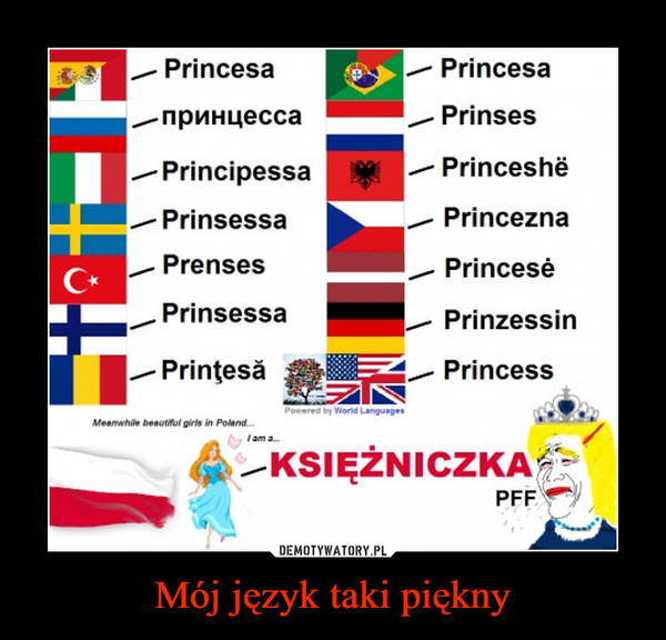 Mój język taki piękny –  Princesa -/ Princesanpnnuecca , Prinses-Principessa -/ PrinceshePrinsessa _/ PrinceznaPrenses , PrincesePrinsessa -/ PrinzessinPrintesa / PrincessKSIĘZNICZKAPFF!