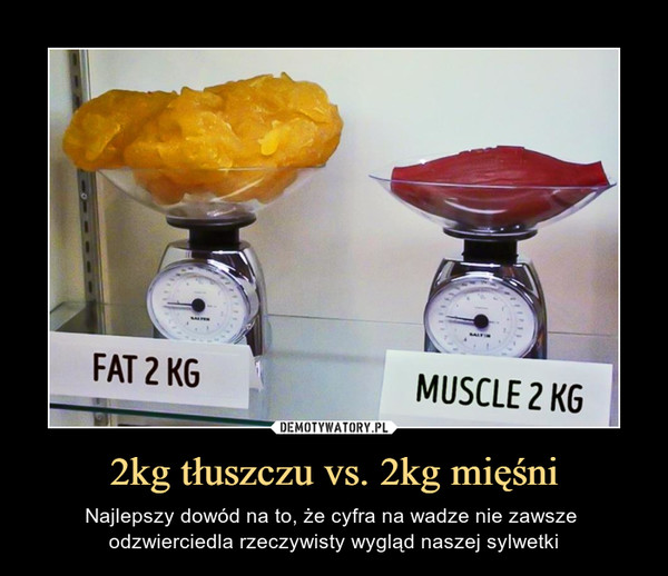 2kg tłuszczu vs. 2kg mięśni – Najlepszy dowód na to, że cyfra na wadze nie zawsze odzwierciedla rzeczywisty wygląd naszej sylwetki FAT 2 KG MUSCLE 2 KG