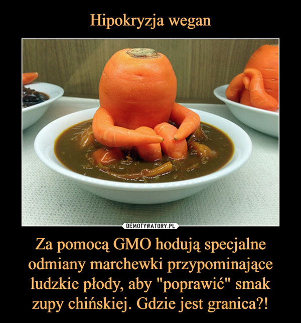Za pomocą GMO hodują specjalne odmiany marchewki przypominające ludzkie płody, aby "poprawić" smak zupy chińskiej. Gdzie jest granica?! –  