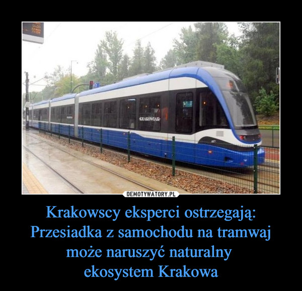 Krakowscy eksperci ostrzegają:Przesiadka z samochodu na tramwaj może naruszyć naturalny ekosystem Krakowa –  