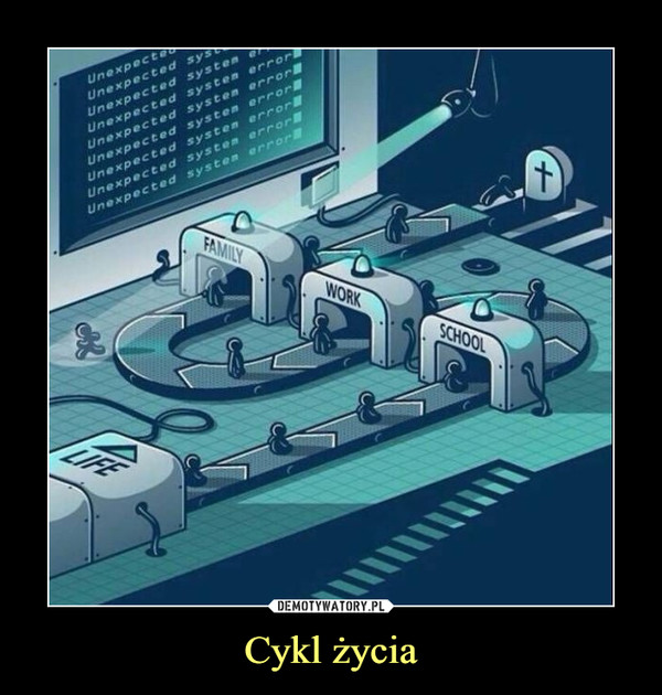 Cykl życia