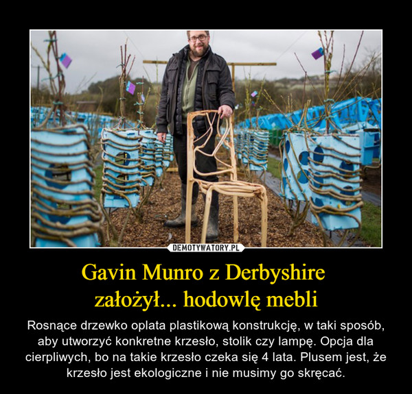 Gavin Munro z Derbyshire 
założył... hodowlę mebli