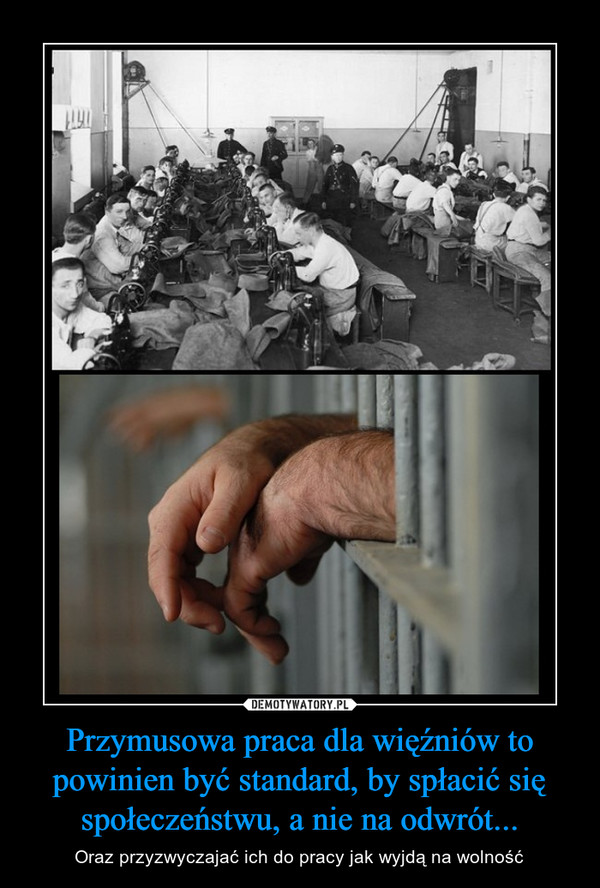 Przymusowa praca dla więźniów to powinien być standard, by spłacić się społeczeństwu, a nie na odwrót... – Oraz przyzwyczajać ich do pracy jak wyjdą na wolność 