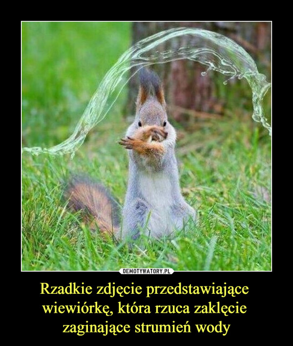 Rzadkie zdjęcie przedstawiające wiewiórkę, która rzuca zaklęcie zaginające strumień wody –  