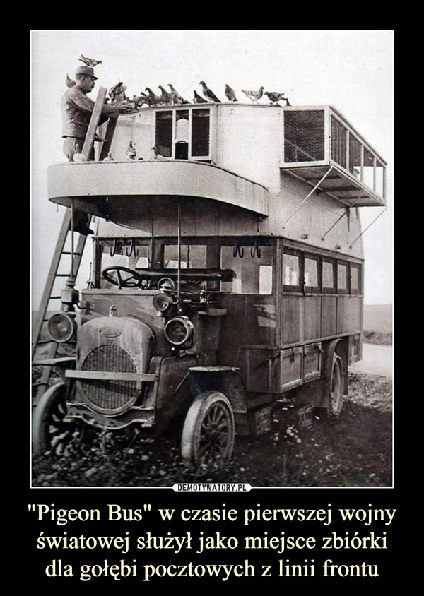 "Pigeon Bus" w czasie pierwszej wojny światowej służył jako miejsce zbiórki dla gołębi pocztowych z linii frontu –  