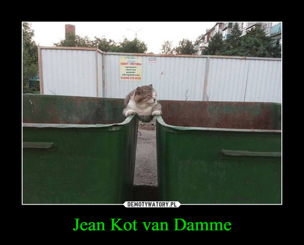 Jean Kot van Damme –  