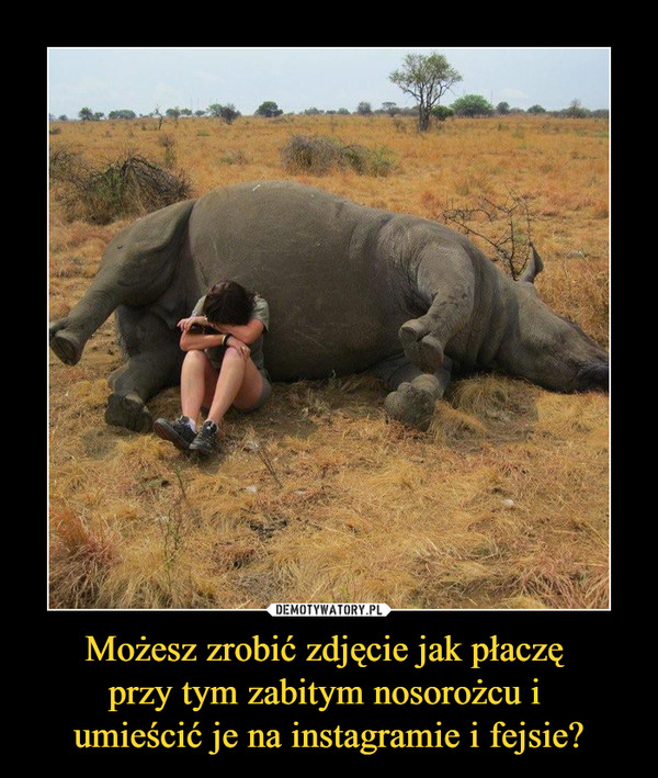 Możesz zrobić zdjęcie jak płaczę przy tym zabitym nosorożcu i umieścić je na instagramie i fejsie? –  