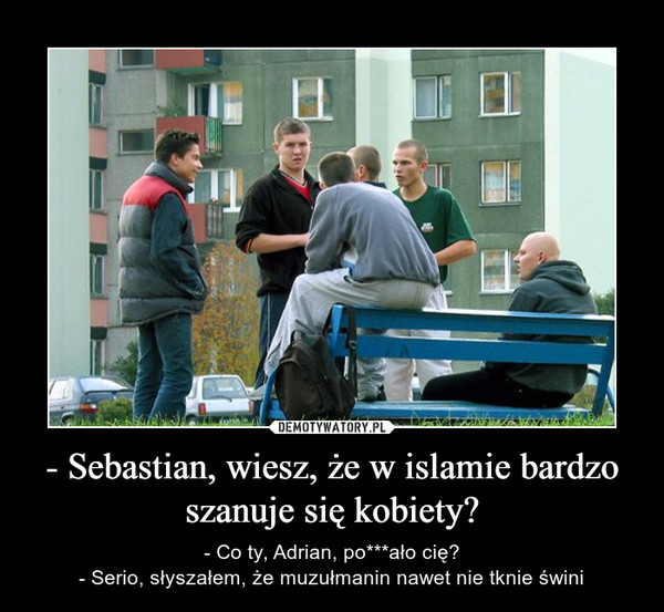 - Sebastian, wiesz, że w islamie bardzo szanuje się kobiety? – - Co ty, Adrian, po***ało cię?- Serio, słyszałem, że muzułmanin nawet nie tknie świni 