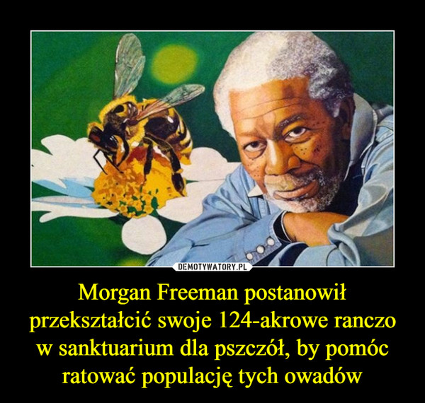 Morgan Freeman postanowił przekształcić swoje 124-akrowe ranczo w sanktuarium dla pszczół, by pomóc ratować populację tych owadów –  