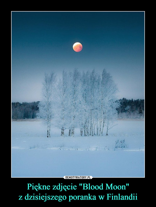 Piękne zdjęcie "Blood Moon"z dzisiejszego poranka w Finlandii –  