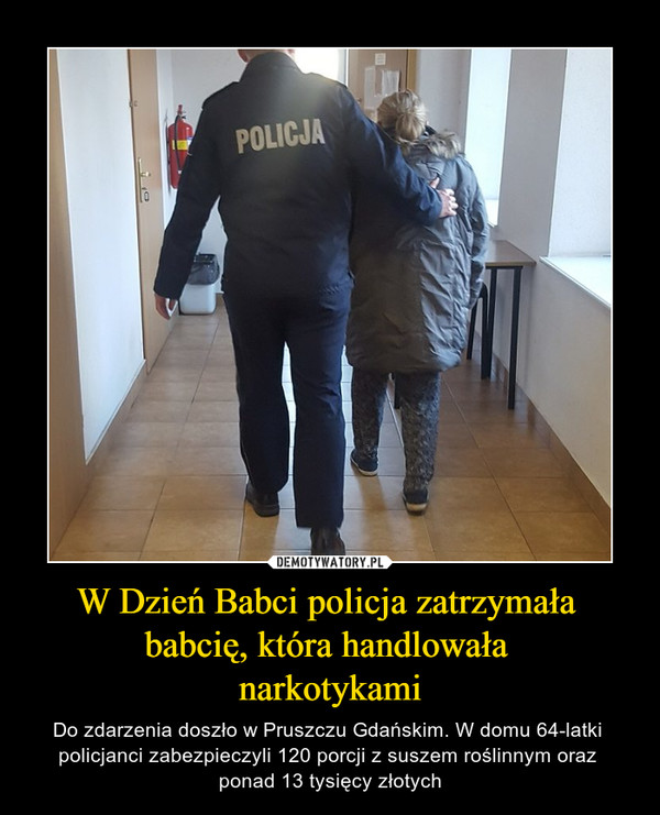 W Dzień Babci policja zatrzymała babcię, która handlowała narkotykami – Do zdarzenia doszło w Pruszczu Gdańskim. W domu 64-latki policjanci zabezpieczyli 120 porcji z suszem roślinnym oraz ponad 13 tysięcy złotych 