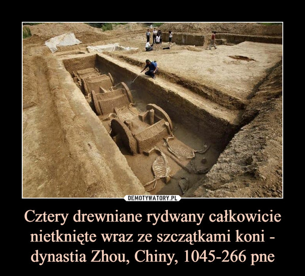 Cztery drewniane rydwany całkowicie nietknięte wraz ze szczątkami koni - dynastia Zhou, Chiny, 1045-266 pne –  