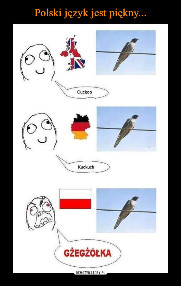 Polski język jest piękny...