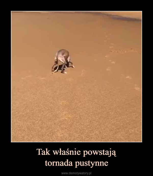 Tak właśnie powstajątornada pustynne –  