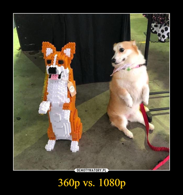 360p vs. 1080p