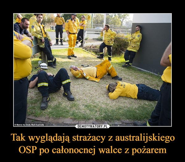 Tak wyglądają strażacy z australijskiego OSP po całonocnej walce z pożarem –  