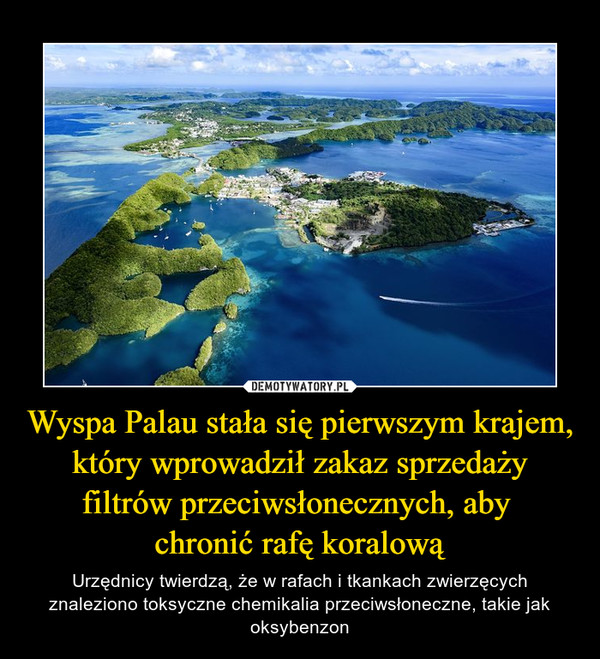 Wyspa Palau stała się pierwszym krajem, który wprowadził zakaz sprzedaży filtrów przeciwsłonecznych, aby chronić rafę koralową – Urzędnicy twierdzą, że w rafach i tkankach zwierzęcych znaleziono toksyczne chemikalia przeciwsłoneczne, takie jak oksybenzon 