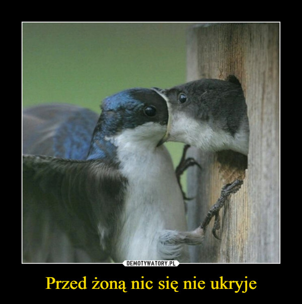 Przed żoną nic się nie ukryje –  