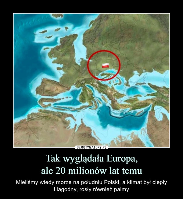 Tak wyglądała Europa,ale 20 milionów lat temu – Mieliśmy wtedy morze na południu Polski, a klimat był ciepłyi łagodny, rosły również palmy 