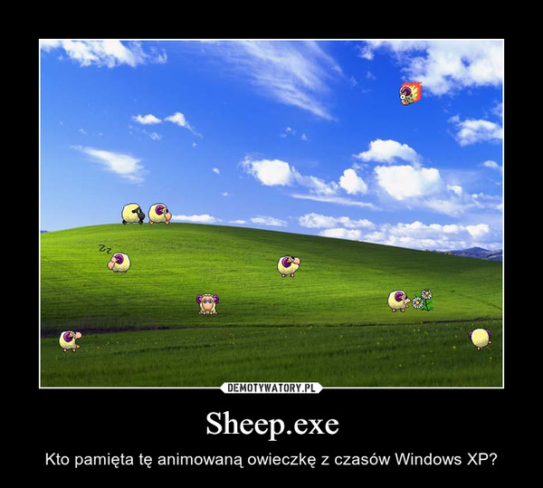Sheep.exe – Kto pamięta tę animowaną owieczkę z czasów Windows XP? 