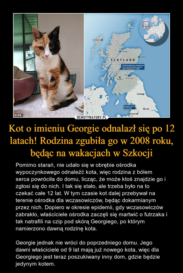 Kot o imieniu Georgie odnalazł się po 12 latach! Rodzina zgubiła go w 2008 roku, będąc na wakacjach w Szkocji