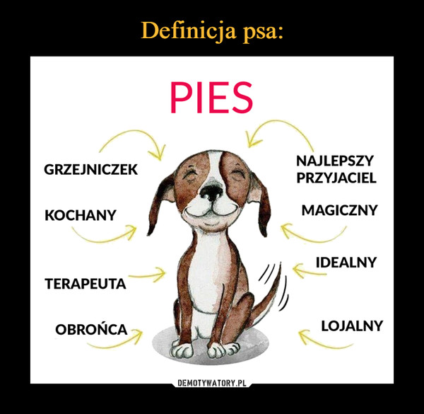 Definicja psa: