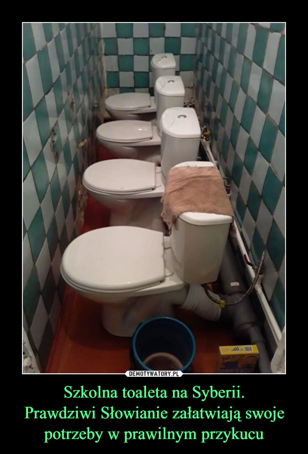 Szkolna toaleta na Syberii.Prawdziwi Słowianie załatwiają swoje potrzeby w prawilnym przykucu –  