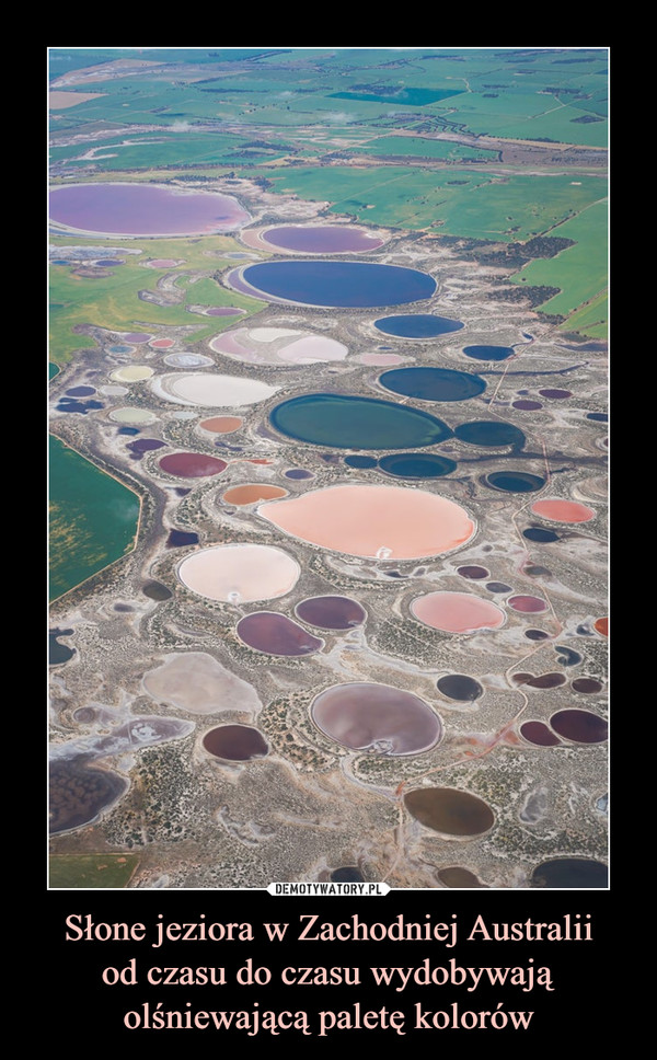 Słone jeziora w Zachodniej Australiiod czasu do czasu wydobywają olśniewającą paletę kolorów –  