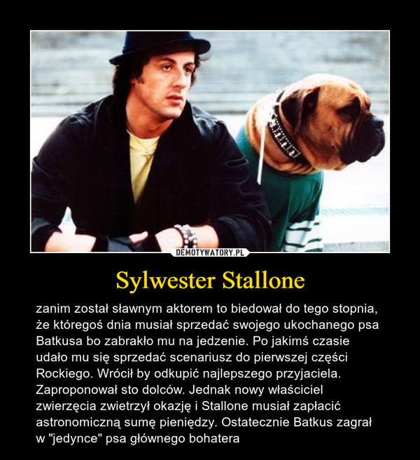 Sylwester Stallone