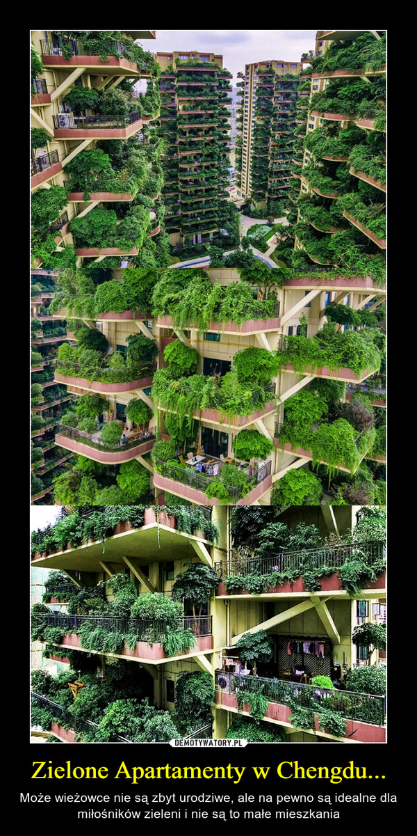 Zielone Apartamenty w Chengdu... – Może wieżowce nie są zbyt urodziwe, ale na pewno są idealne dla miłośników zieleni i nie są to małe mieszkania 