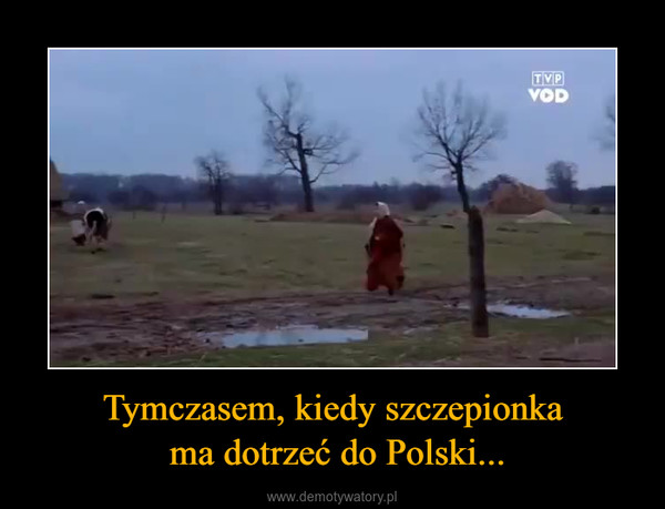 Tymczasem, kiedy szczepionka ma dotrzeć do Polski... –  